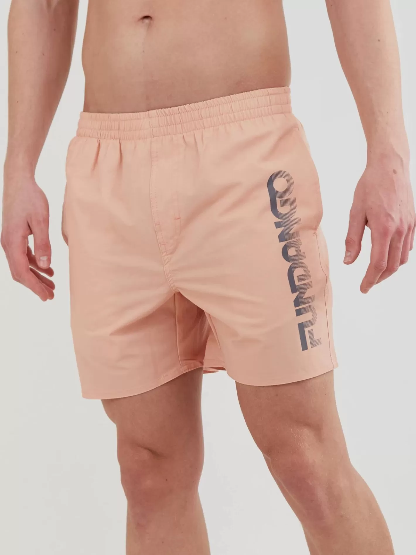 Beach Shorts^Fundango Bono Boardshort Pink