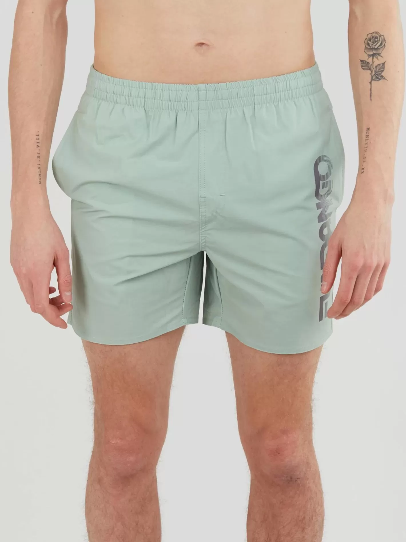 Beach Shorts^Fundango Bono Boardshort Green