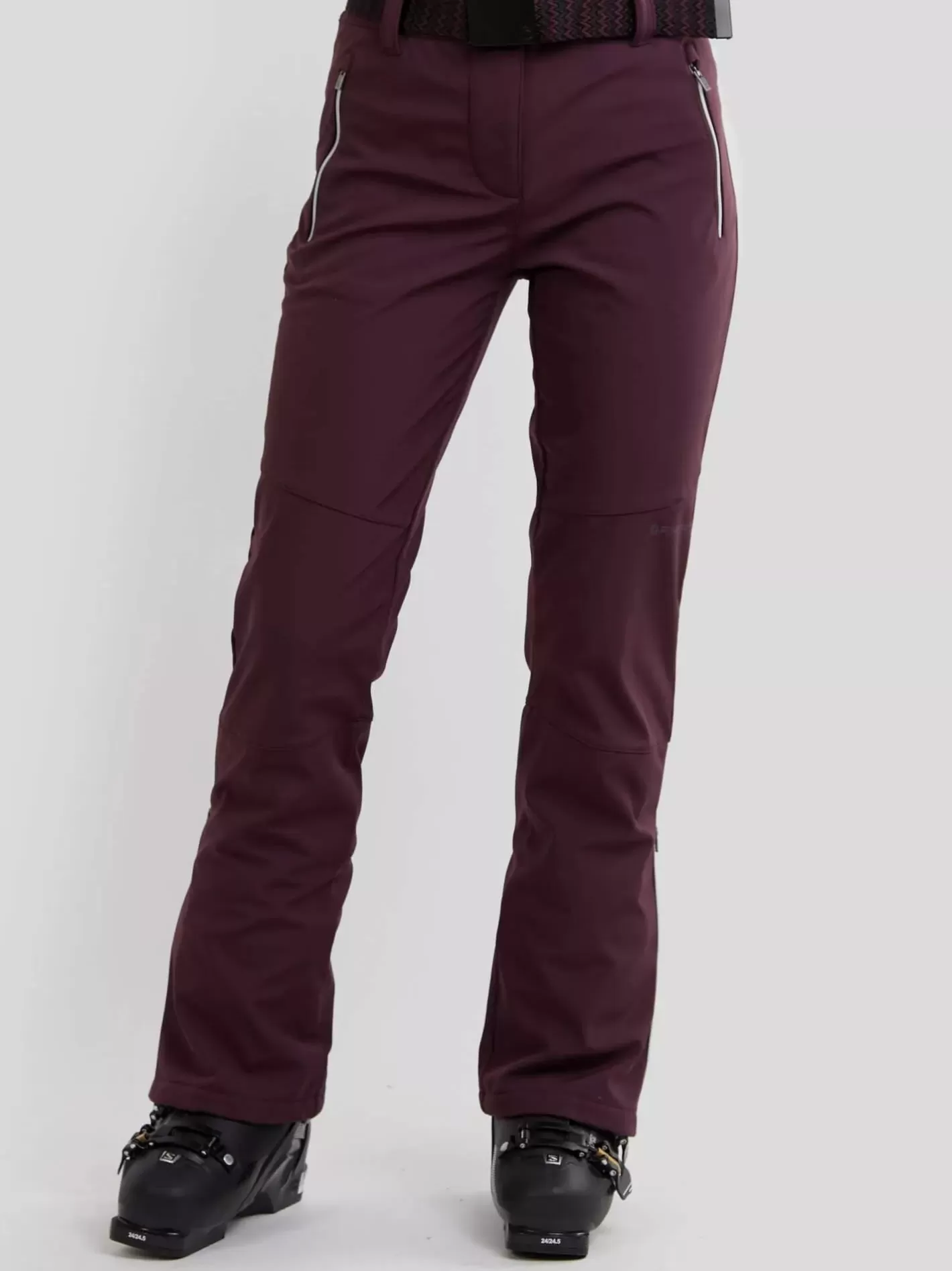 Ski Pants^Fundango Galena Softshell Pants Purple