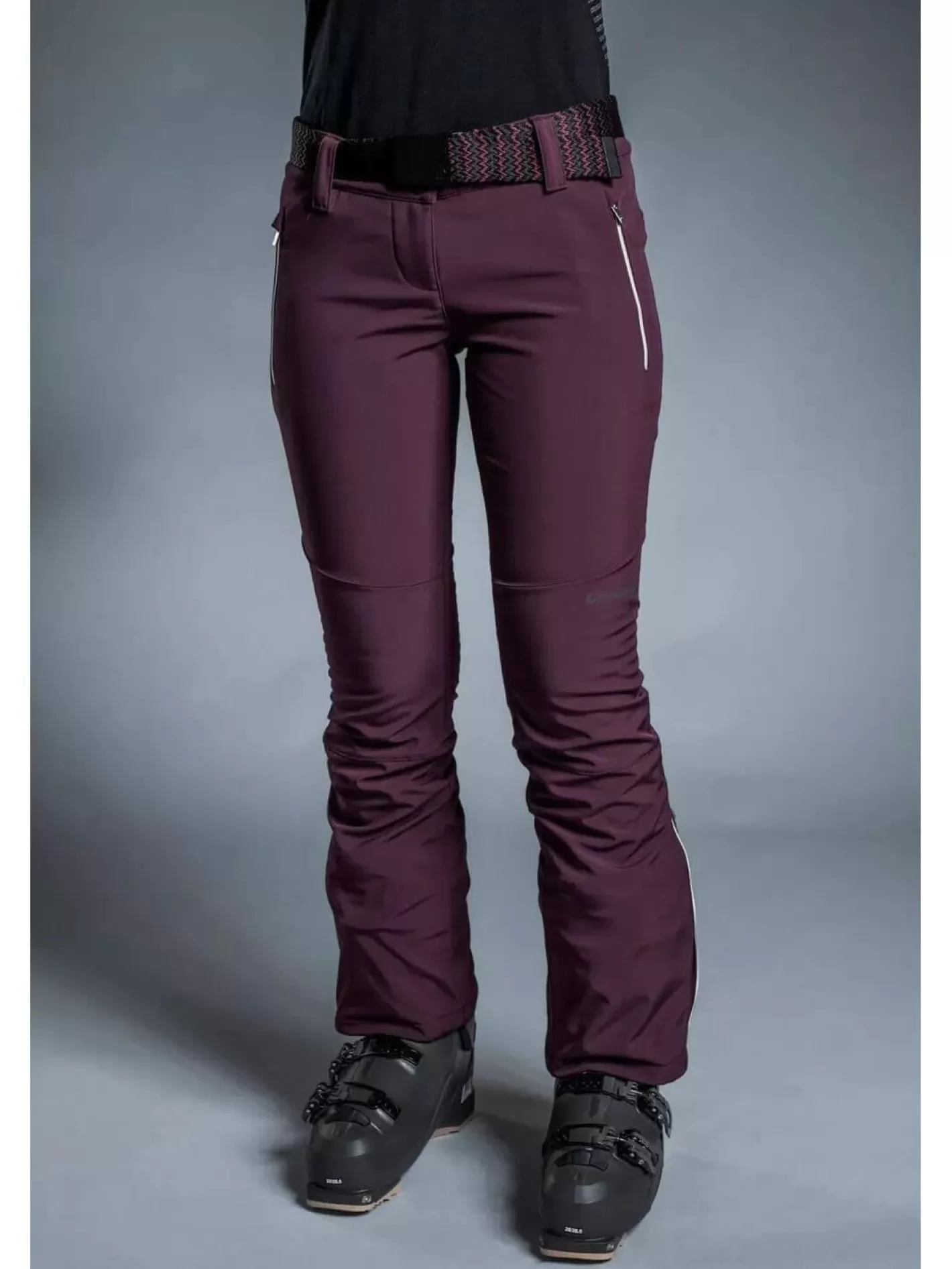 Ski Pants^Fundango Galena Softshell Pants Purple